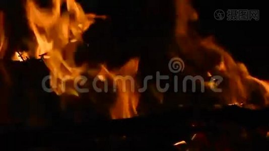 晚上用燃烧的原木和树枝特写篝火视频