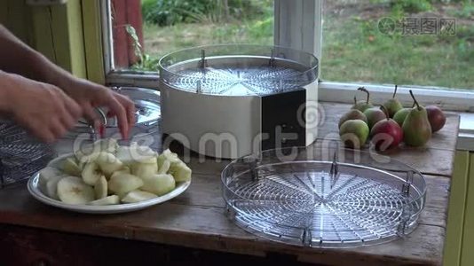 女人的手把切好的梨片放进水果烘干机的盘子里。 特写镜头。 4K视频