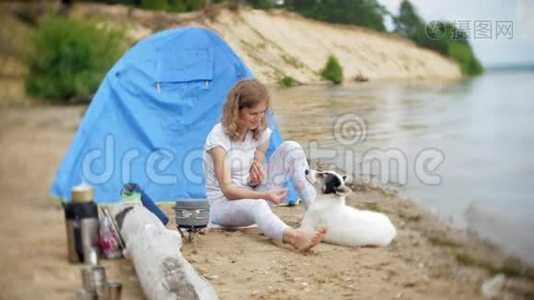 女人在露营时用帐篷做食物。 狗在旁边散步视频