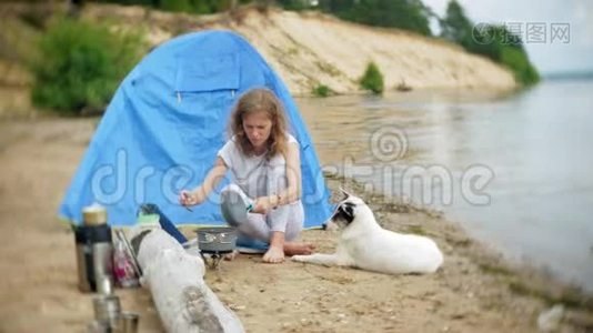 女人在露营时用帐篷做食物。 狗在旁边散步视频