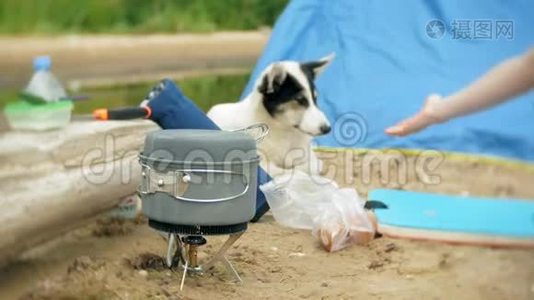 女人在露营时用帐篷做食物。 狗在旁边散步视频