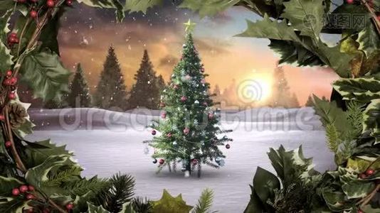 冬季仙境的圣诞树和冬青边境视频