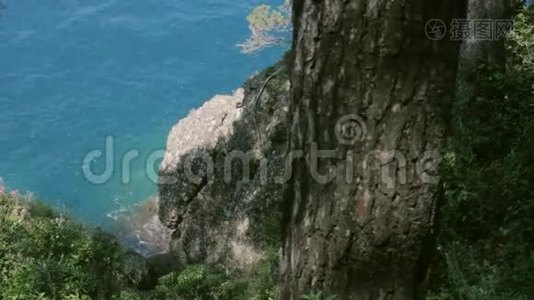 意大利波尔图菲诺国家公园野生蔚蓝海岸视频