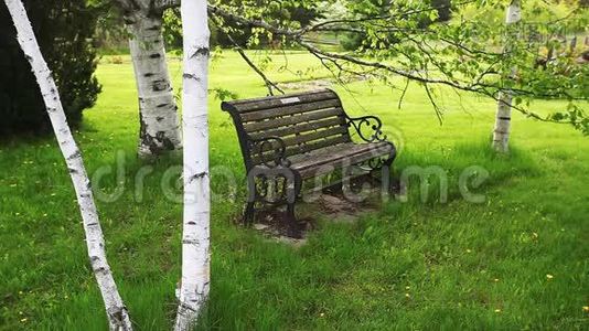 一张在绿色环境中的公园长椅视频