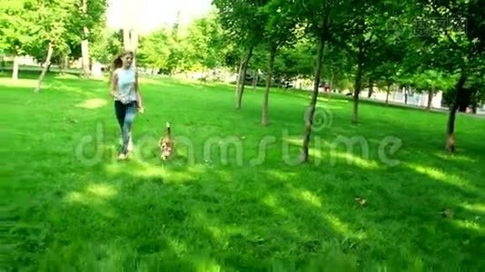快乐的年轻女人和她的小猎犬慢跑视频