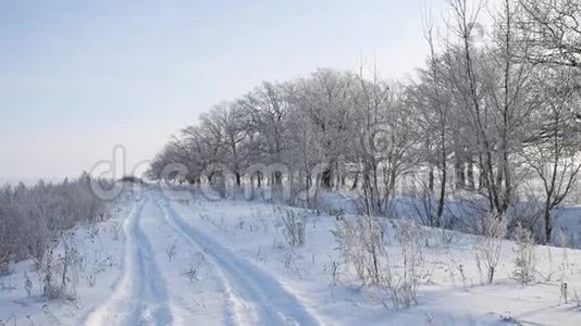 雪中的树木，冬天的田野，雪中的自然景观，阳光下的草地，雪和道路视频