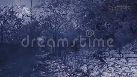 在雾和雪中穿过树林4K环视频