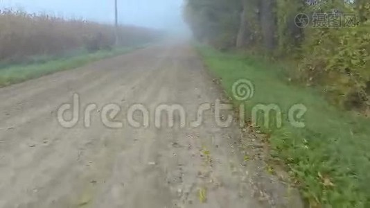 在雾天沿着乡间小路行驶的观点视频