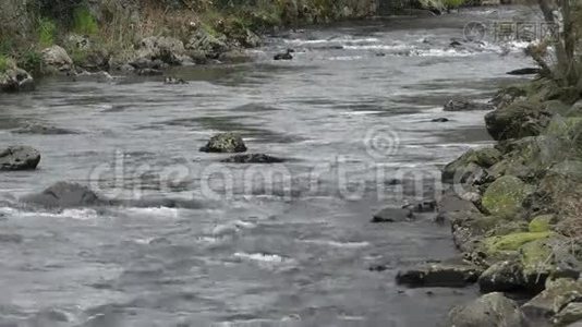 在贝德格勒特附近沿格拉斯林河的景色视频