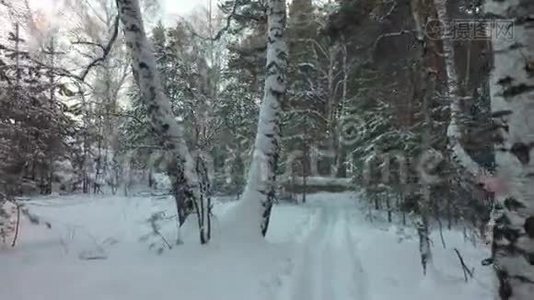 在美丽的冬季混合森林中滑雪道视频