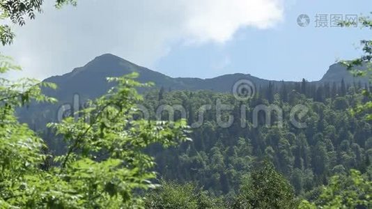 夏天的山林，天空乌云密布视频