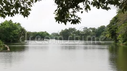 宁静的花园有湖景，水，树木，灌木和风影响树叶。视频