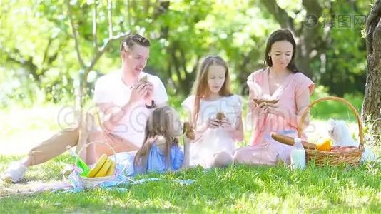 阳光明媚的一天，一家人在公园野餐视频