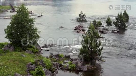 阿尔泰山脉的特莱茨科耶湖的水流视频