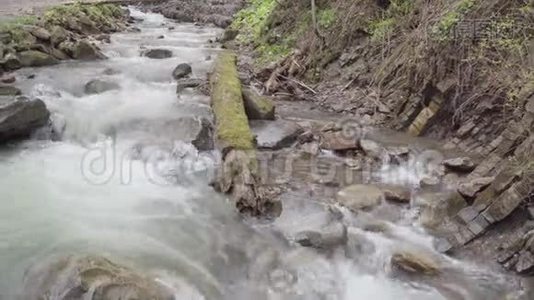 森林里狂风暴雨的山河.视频