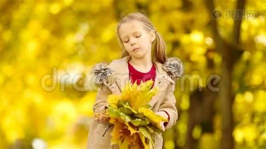 美丽的孩子，带着黄色和橙色的叶子花束在户外，美丽的秋日视频