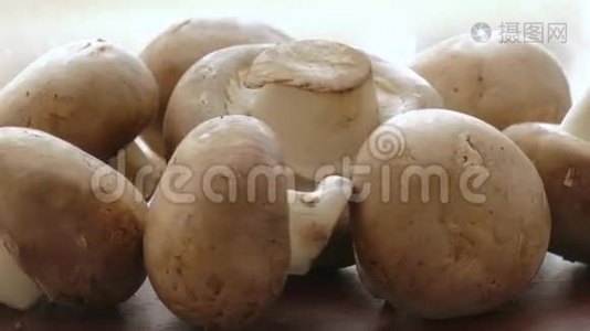 生蘑菇，特写.视频