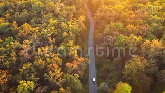 通过秋林路汽车驾驶的鸟瞰图。 秋景风景视频