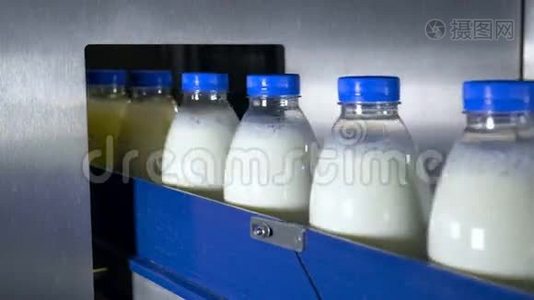 新鲜乳制品，瓶子在传送带上移动。 奶制品工厂。视频