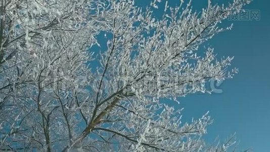 冬天的细节。 冰冻的冬季景观。视频