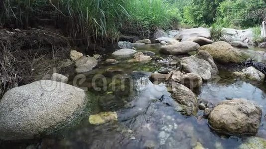 自然界的水中有洛基溪流视频