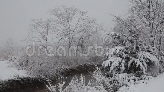 河上大雪.. 冬季天气视频