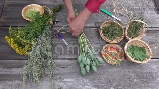 准备干燥医疗和香料草药的手视频