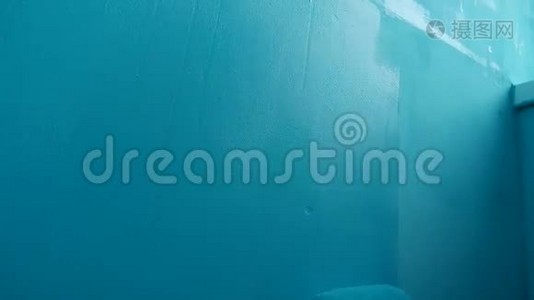 女画墙辊蓝色，艺术家画家为修复艺术视频