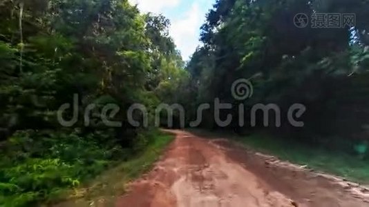 热带森林阴影地面道路上的摄像机移动视频