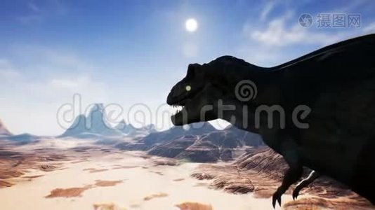 霸王龙在沙漠中的动画。 现实的渲染。 4k.视频