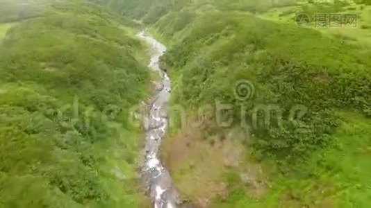 空中观景。 绿色夏林中美丽的山溪.. 森林里的山涧视频