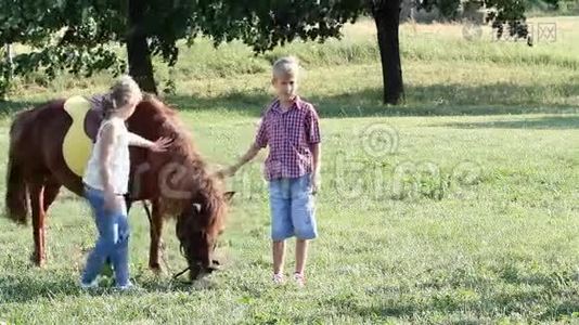 小女孩和小男孩带着小马视频