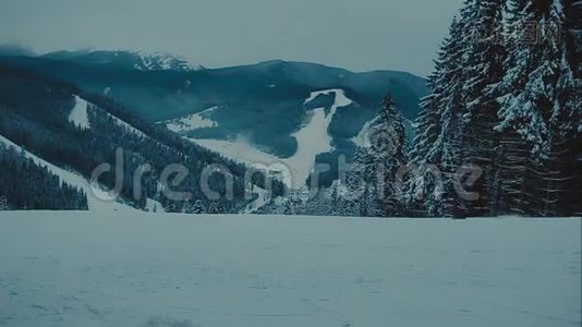 滑雪者在森林里的滑雪场下坡视频