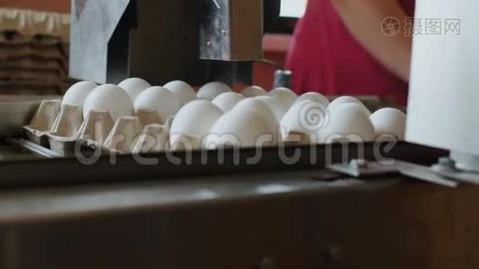 自动化装置在一个小农舍里标记母鸡蛋视频