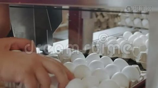 自动化装置在一个小农舍里标记鸡蛋视频