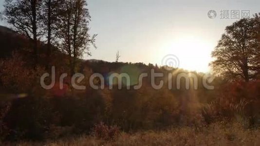 秋天的森林中日落，有美丽的耀斑视频