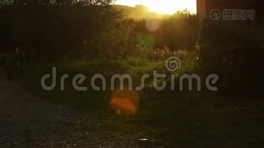 俄罗斯阿尔泰日落时的日光和乡村风景视频