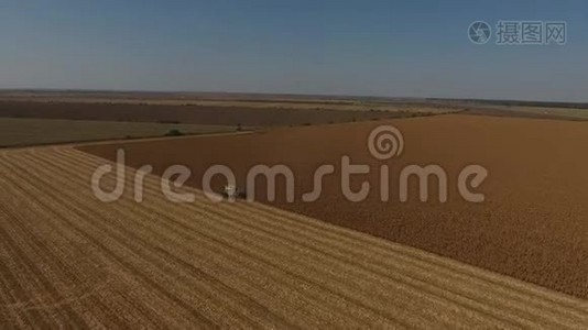 空中无人驾驶飞机在巨大的农田上的视野，在作物时期的卡车视频