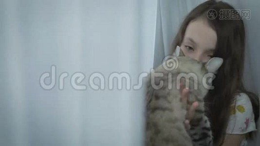 美丽的小女孩轻轻地与你心爱的猫在窗口交流。视频