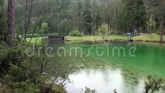 在奥地利纳斯雷思的费尔斯坦塞绿色山湖上下雨。视频