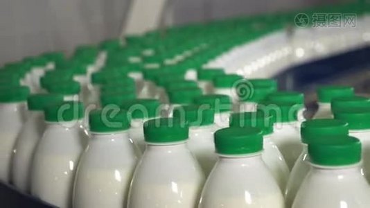 瓶子里的牛奶在传送带上移动。 牛奶厂传送带上有绿色帽子的牛奶。视频