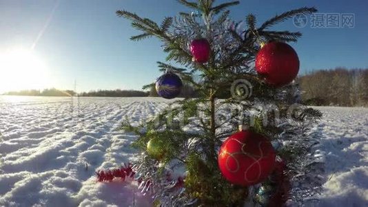 美丽的圣诞树，雪场上有宝布尔，时间流逝4K视频