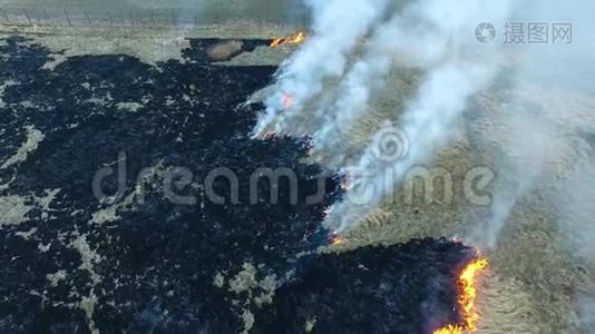 潮湿天气下的春季野火视频