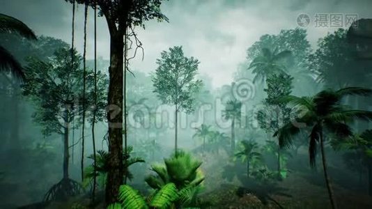 霸王龙恐龙丛林动画.. 现实的渲染。 4k.视频