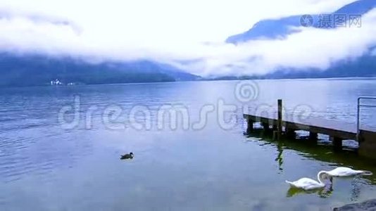 奥地利哈尔斯塔特美丽平静的多云湖，有小港口和天鹅视频