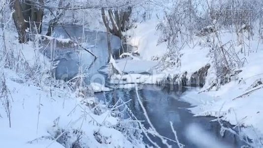 冬天的小溪在森林里下雪，冻僵的树枝自然景观视频