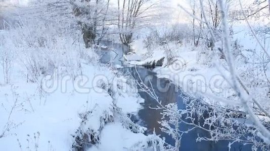 冬天的小溪在森林里下雪，冻僵的树枝景观自然视频