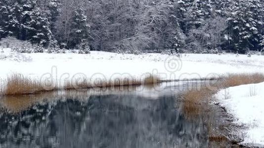 滨河冬季景观.视频