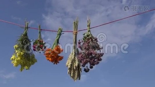 医用草药束在弦和天空背景视频