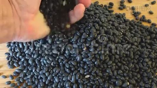 小堆黑豆豆蔻：健康食品理念视频